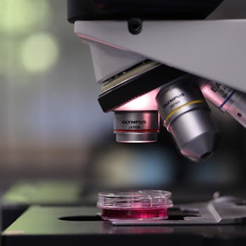Detailed view of a microscope focusing on a Petri dish in a laboratory setting.